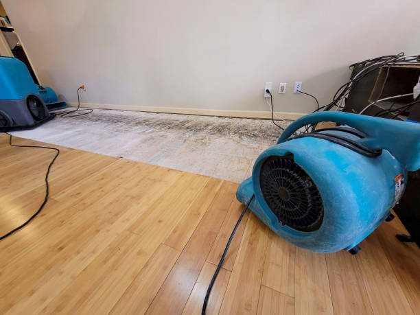 Professional Basement Flood Cleanup technician working in Peoria, IL